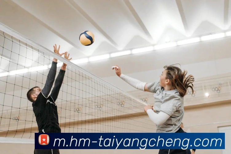 太阳城网站平台生态图